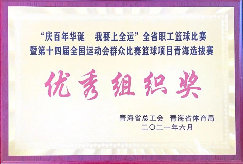 优良组织奖