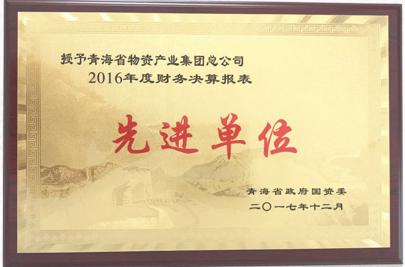 2016年度财政决算表先进单元