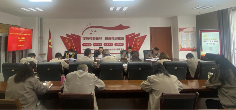 磨炼党性找差距 坚定信念促担任&mdash;&mdash;青海森林舞会官网向阳物流开发投资有限公司党支部发展主题教育党性大会商