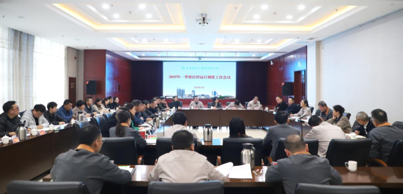 省森林舞会官网集团召开2025年一季度经济运行调度工作会议