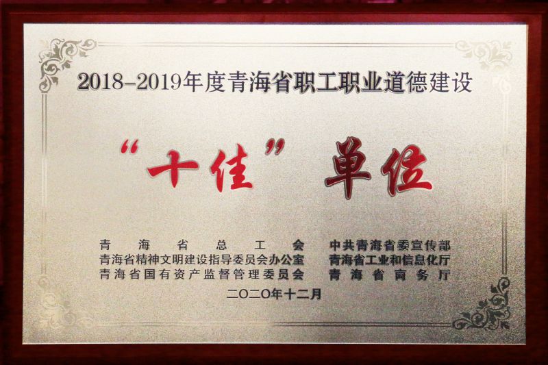 2018-2019年度青海省职工职业道德建设&ldquo;十佳&rdquo;单元