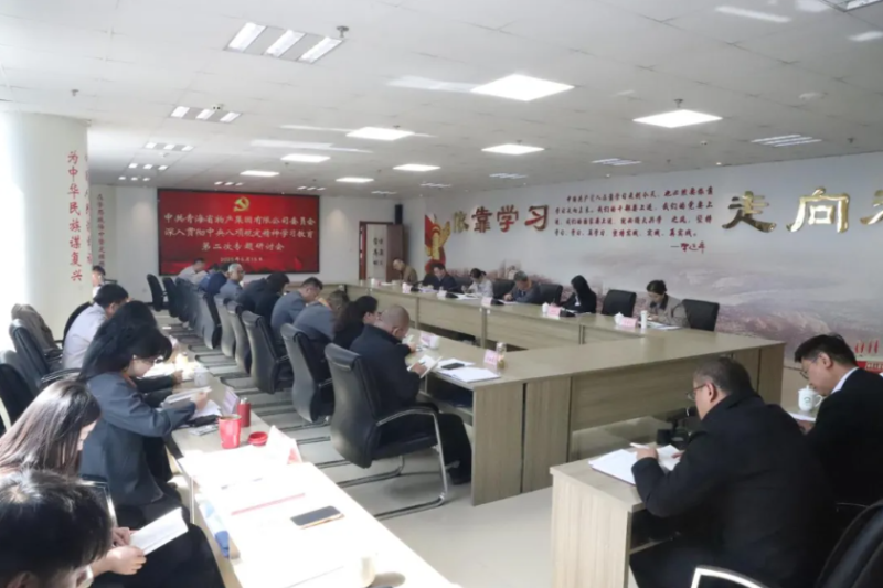 省森林舞会官网集团党委召开深刻贯彻中央八项划放心灵学习教育第二次专题钻研会