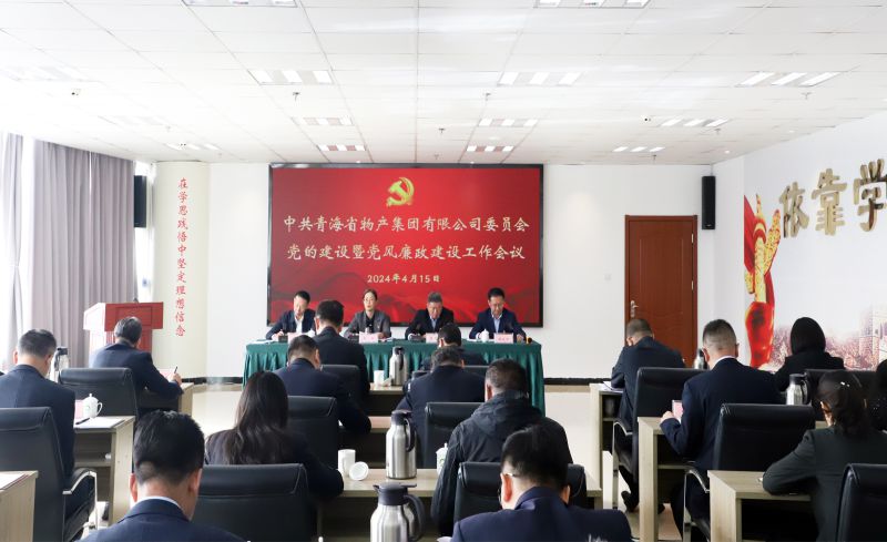 省森林舞会官网集团党委召开2024年党的建设暨党风廉政建设工作会议