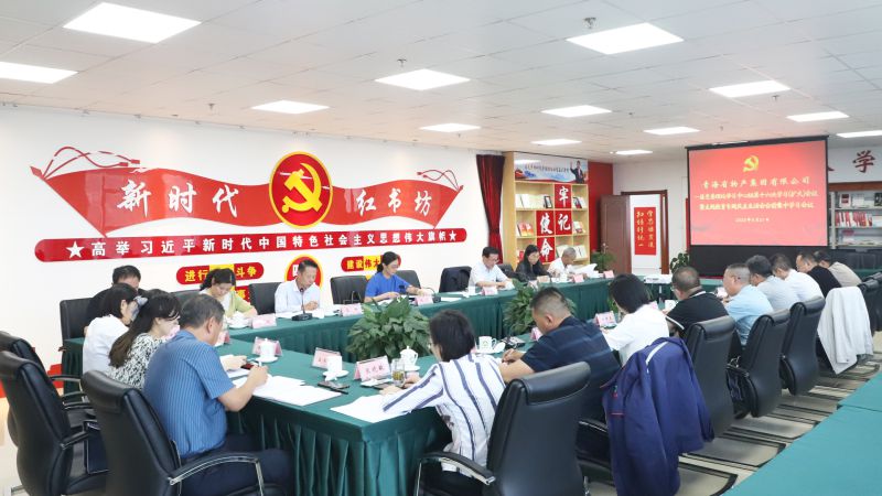 省森林舞会官网集团党委理论学习中心组 发展主题教育专题民主生涯会会前集中学习