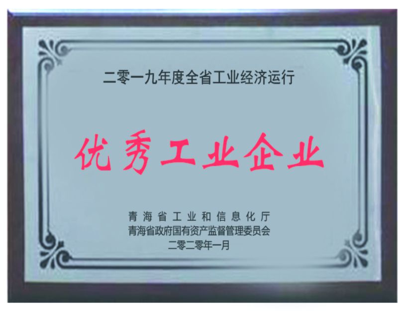 2019年度优良工业企业