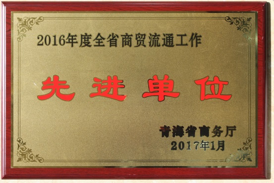 2016年度省商贸流通先进单元