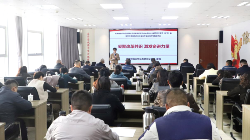 集团党委理论学习中心组发展党的二十届三中全会心灵专题宣讲
