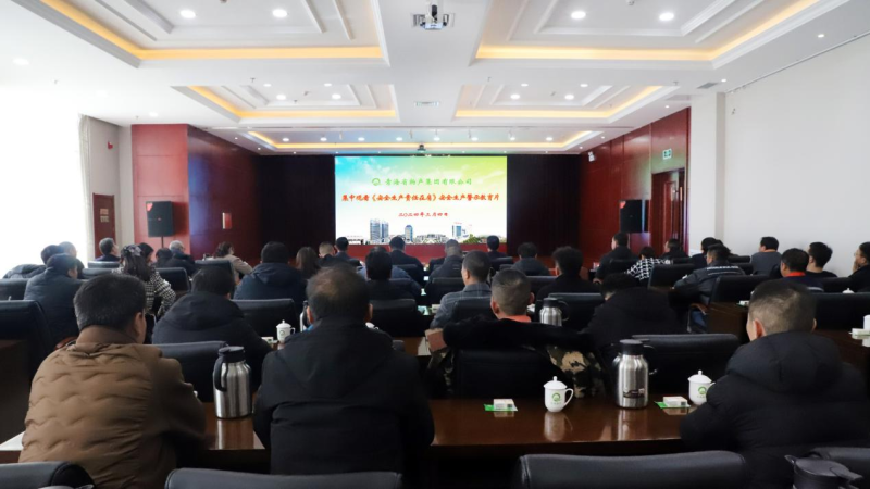 集团安委会组织集中旁观《安全出产责任在肩》安全出产警示教育片