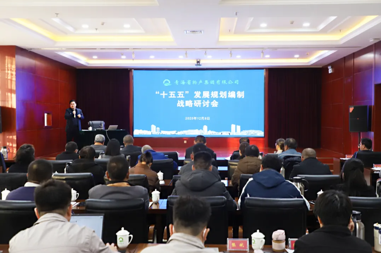聚势谋远 破局立新&mdash;&mdash;集团召开&ldquo;十五五&rdquo;发展规划编制战术钻研会