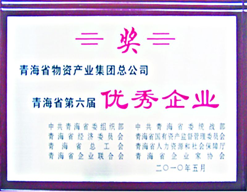 青海省第六届优良企业
