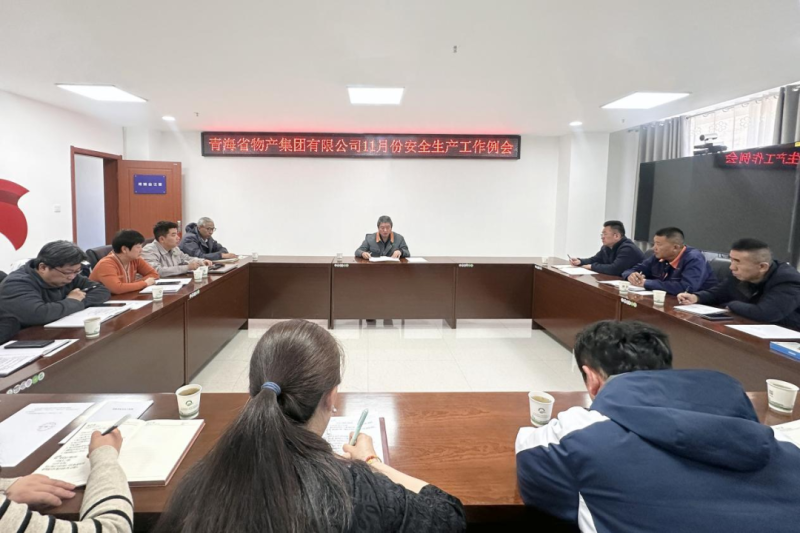 集团安委会召开2024年11月份安全出产工作例会