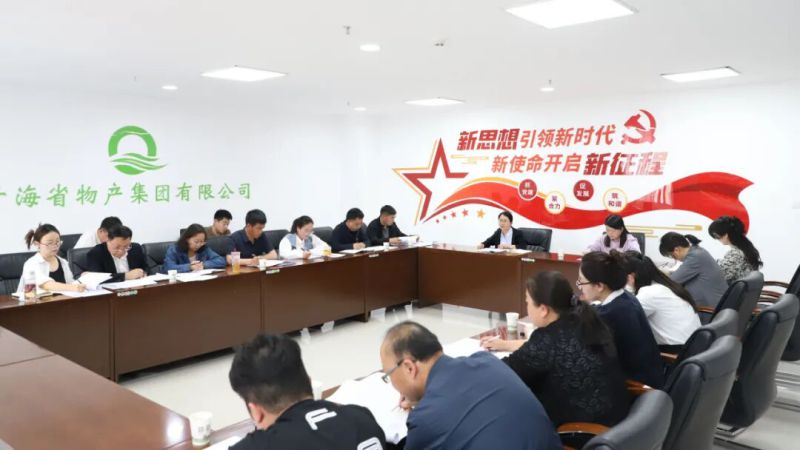 集团纪委召开&ldquo;三化&rdquo;建设年行动工作推动会