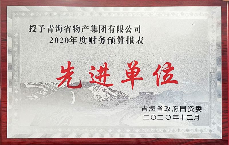 2020财政决算先进单元