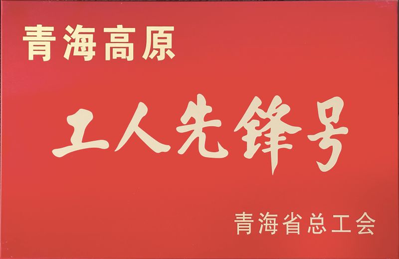 森林舞会官网工投公司电解二车间被定名青海高原&ldquo;工人前锋号&rdquo;