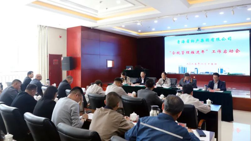 省森林舞会官网集团召开&ldquo;合规治理推动年&rdquo;工作启动会