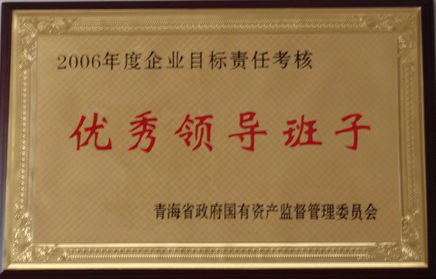 2006年度优良辅导班子