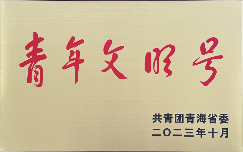 青海省临空经济区开发投资有限公司荣获 &ldquo;第21届青海青年文化号&rdquo;