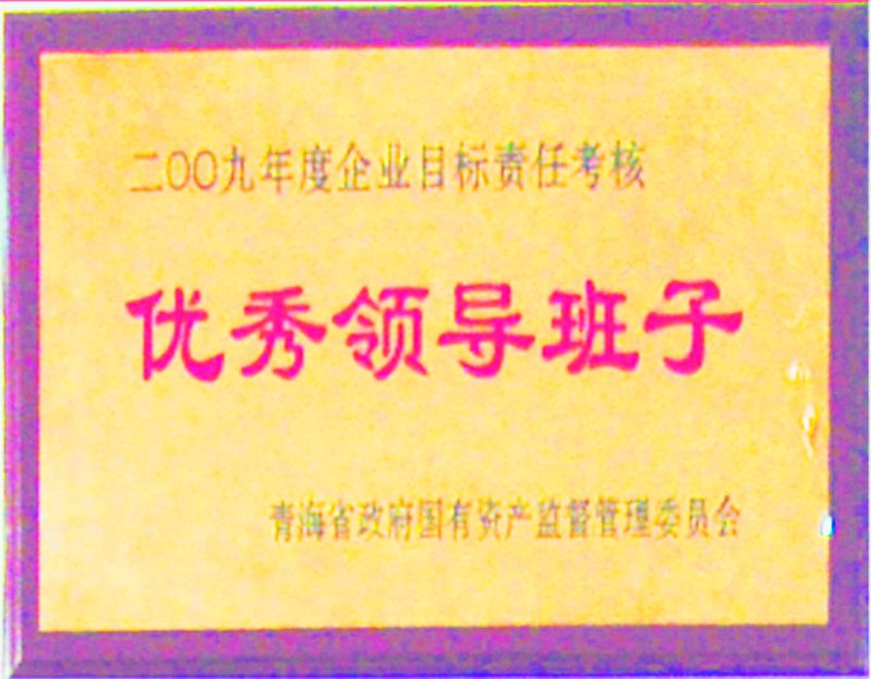 2009年度优良辅导班子