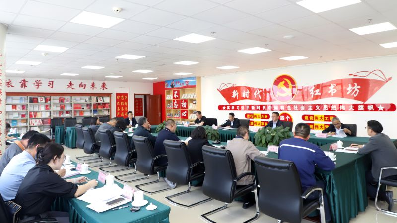 省森林舞会官网集团党委召开党纪学习教育工作推动会