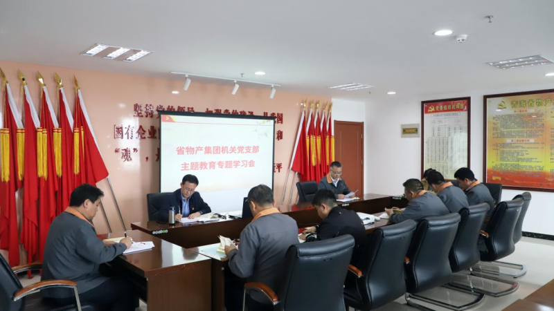魏廷强同道为集团机关党员讲主题教育专题党课