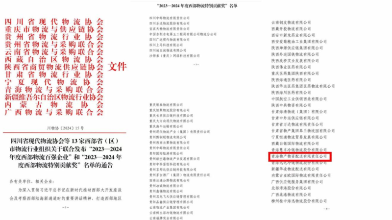 2023&mdash;2024年度西部物流出格贡献奖