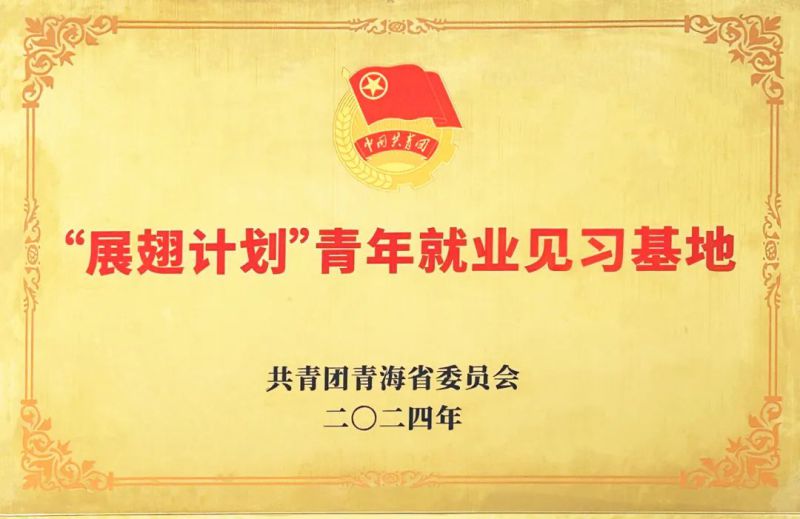 森林舞会官网工投公司被团省委授予&ldquo;展翅打算&rdquo;首批青年就业见习基地