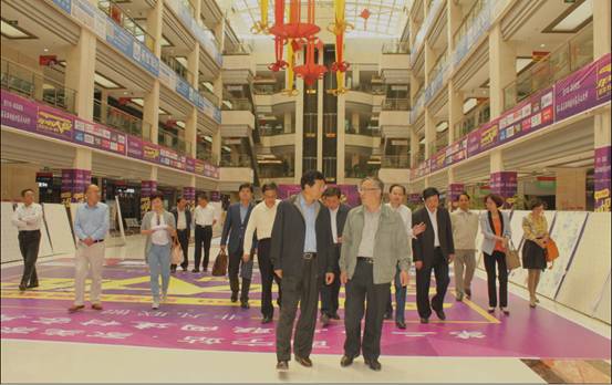 副省长王平明一行视察向阳物流园区，，临空经济开发区工作